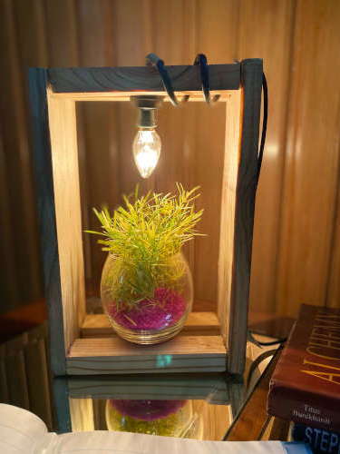 Finished DIY wooden frame desk lamp lit up and decorated with a plant