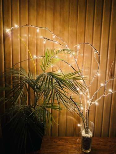 Our finished DIY tree branch lamp.