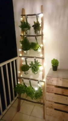 DIY Ladder Style Light with green hanging pods