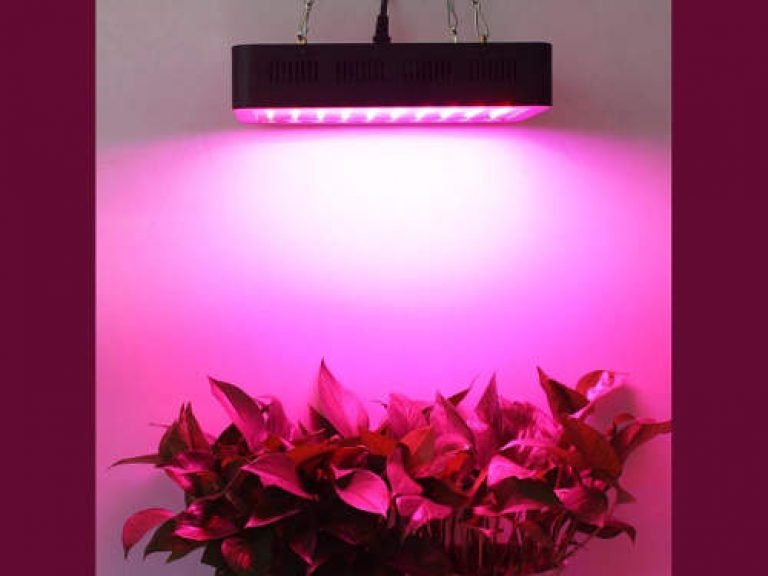 Red light to promote plant flowering